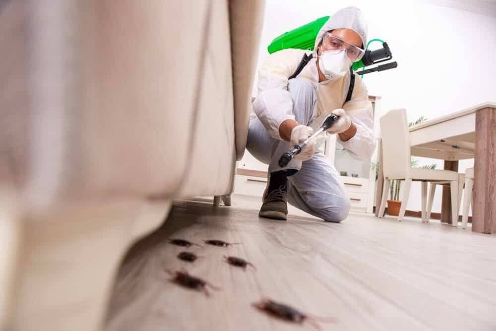 pest-control-featured